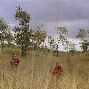 Bilder Goldenes Königreich