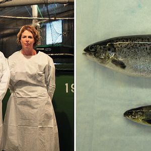 Bilder 10 Milliarden - Wie werden wir alle satt?