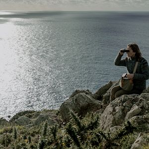 Bilder Sylvie Testud