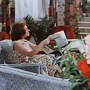 Bilder Festival en Benidorm