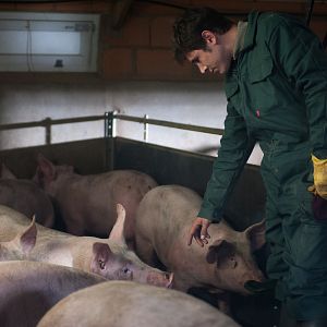 Bilder Aus Liebe zum Tier