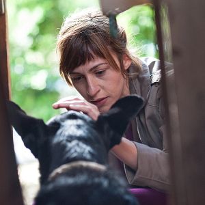 Bilder Aus Liebe zum Tier