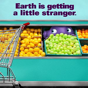 Bilder Home - Ein smektakulärer Trip