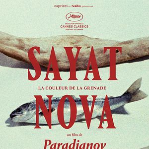 Bilder Die Farbe des Granatapfels