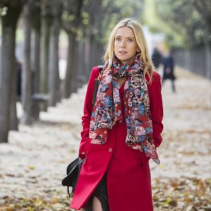 Bilder Des roses en hiver