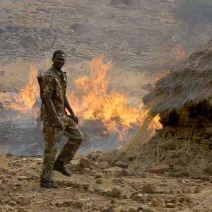 Bilder Madina's Dream