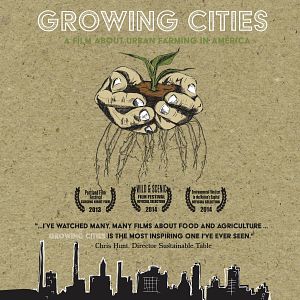 Bilder Growing Cities