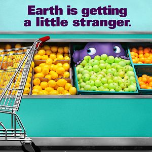 Bilder Home - Ein smektakulärer Trip