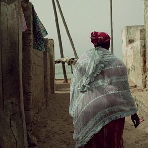 Bilder N - Der Wahn der Vernunft