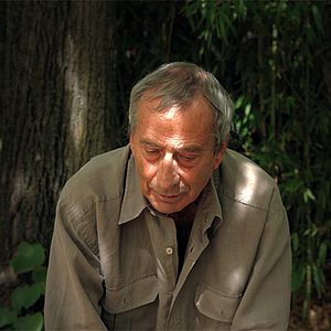 Bilder Dario Marconcini