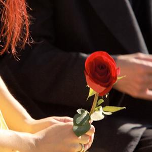 Bilder Autism in Love