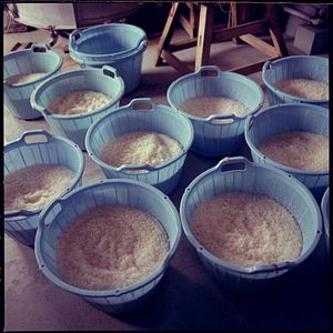 Bilder The Birth of Saké