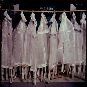 Bilder The Birth of Saké