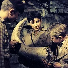 Bilder Reise in die Urwelt (West)/ Die Reise in die Urzeit (east)