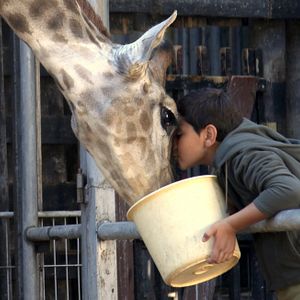 Bilder Ahmad Bayatra