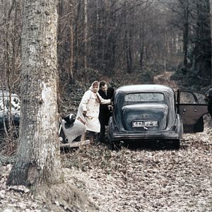 Bilder Armee im Schatten