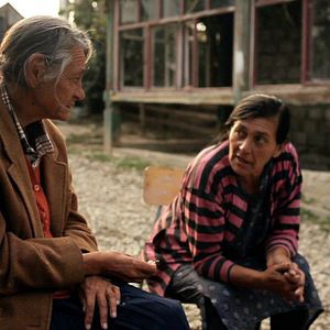 Bilder Der Wald ist wie die Berge