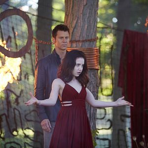 Bilder Sean Rogerson