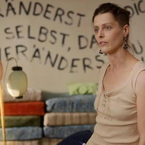 Bilder High Performance - Mandarinen lügen nicht