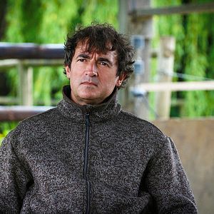 Bilder Im Gleichgewicht