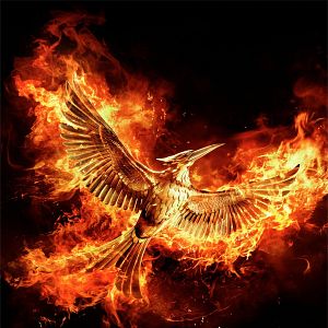 Bilder Die Tribute von Panem 4 - Mockingjay Teil 2