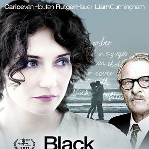 Bilder Black Butterflies