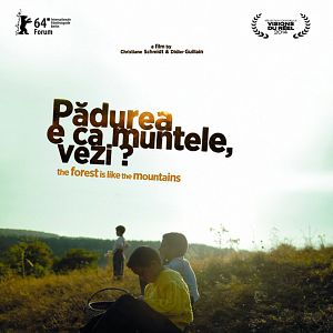 Bilder Der Wald ist wie die Berge