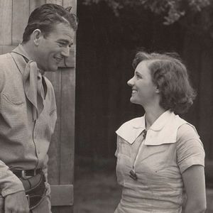 Bilder Reiter in der Dämmerung