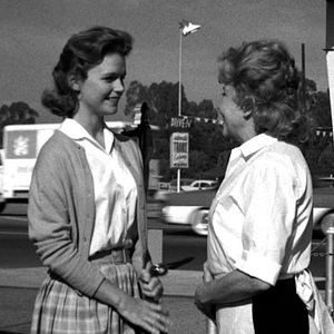 Bilder Die Lady und der Tramp