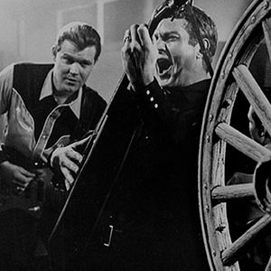 Bilder Die Lady und der Tramp