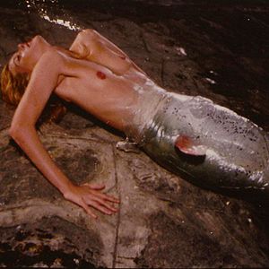 Bilder Női kezekben