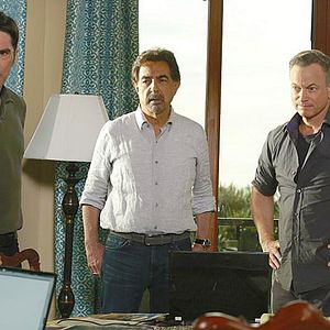 Bilder Thomas Gibson