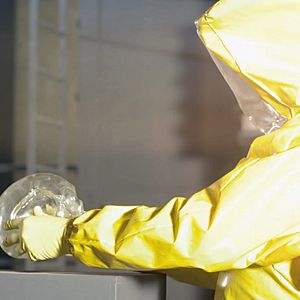 Bilder Crystal Skulls