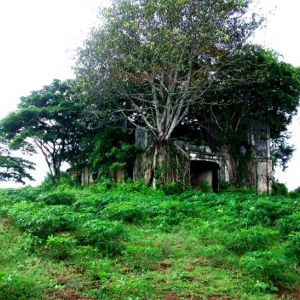 Bilder La France est Notre Patrie