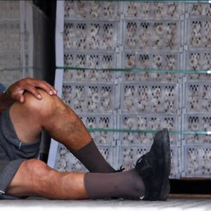 Bilder Carregador 1118