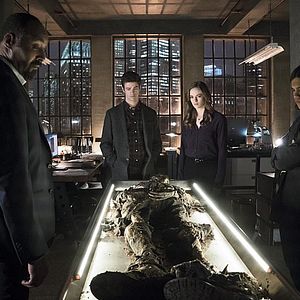 Bilder Carlos Valdes