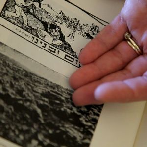 Bilder This Is My Land