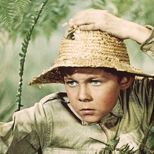 Bilder Reise in die Urwelt (West)/ Die Reise in die Urzeit (east)