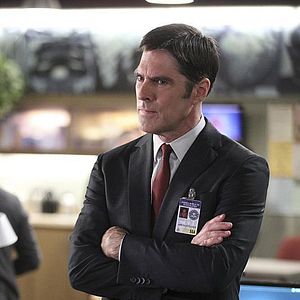 Bilder Thomas Gibson