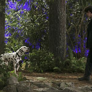 Bilder Once Upon A Time - Es war einmal...