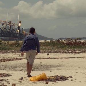 Bilder Im Land der Dinosaurier