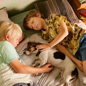 Bilder Rico, Oskar und das Herzgebreche