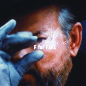 Bilder F wie Fälschung