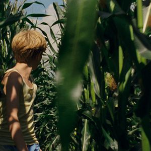 Bilder Ich seh, Ich seh