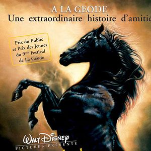 Bilder Jeanne Rosenberg