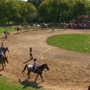 Bilder Ferien auf dem Reiterhof