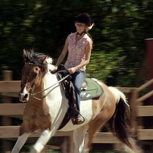 Bilder Ferien auf dem Reiterhof