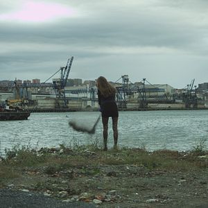 Bilder Sapos y culebras