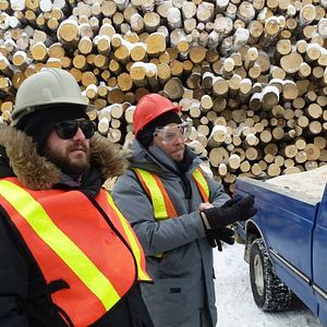 Bilder Bleu tonnerre