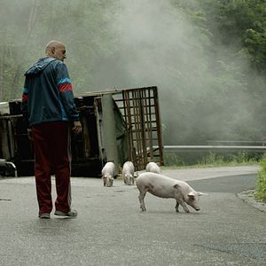 Bilder Thomas Oraže